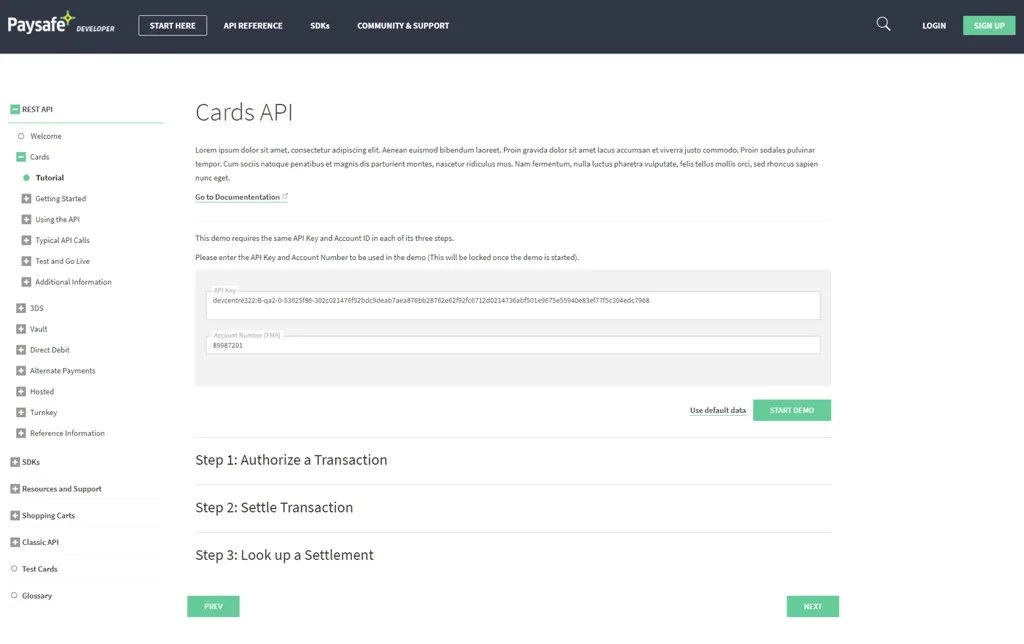 View of the existing project: Paysafe: interactive product documentation