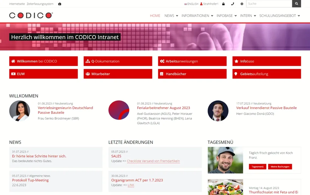 View of the existing project: CODICO: intranet and internal workflows